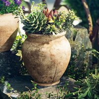 Pflanztopf 'Terracotta' 20 cm hoch, rustikal, braun & schwer, Vintage Blumentopf von FRANK FLECHTWAREN