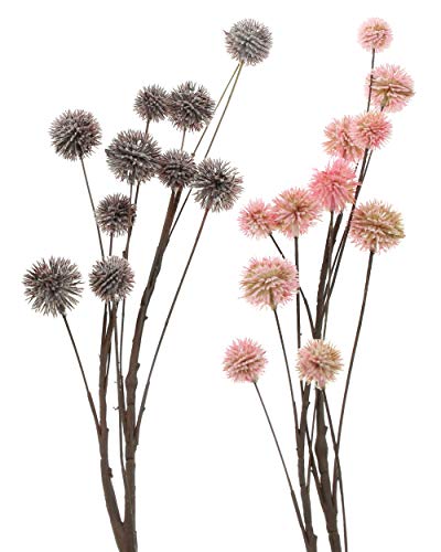 FRANK FLECHTWAREN Zweig 'Blüten', im 2er Set von FRANK FLECHTWAREN