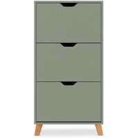 Plana - Platzsparender Schuhschrank 3 T�ren 55x116x25 cm 18 Paar in salbeifarbenem Holz von FRANKYSTAR