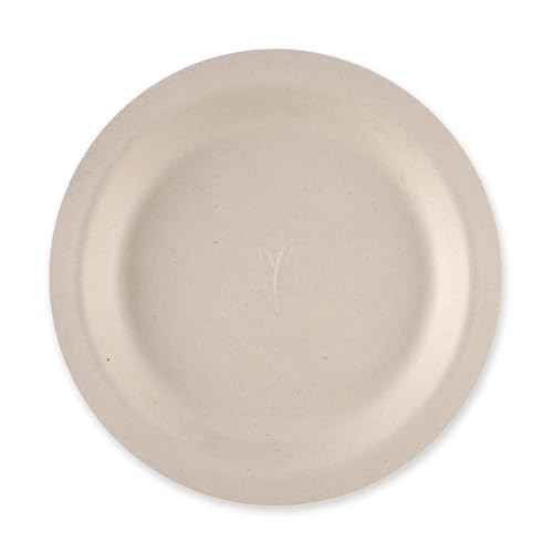 FRANZ MENSCH 1000 Stück NATUREStar Bio Teller, rund | Zuckerrohr, natur, Ø: 22,5cm, H: 1,8cm, Karton, Einwegteller, Zuckerrohrteller, Einmalteller von FRANZ MENSCH