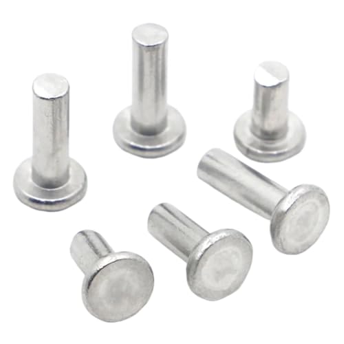 10–50 Stück GB109 Flachkopfnieten, Aluminiumlegierung, Vollniete, M2, M2.5, M3, M4, M5, M6, M8(M2.5 50pcs,8mm) von FRAOMHFW