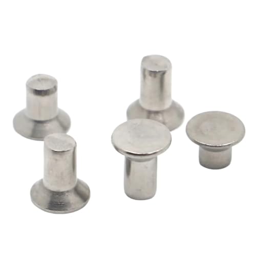 10–50 Stück Senkkopfnieten 304 Edelstahl GB869 Vollniete M2 M2.5 M3 M4 M5 M6(M6 10pcs,10mm) von FRAOMHFW