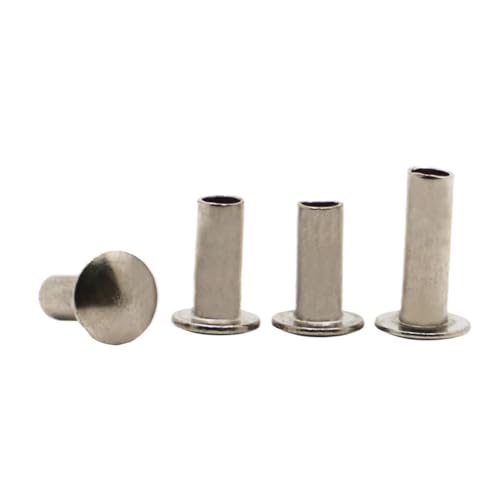 10–50 Stück vernickelter Stahl, rund, flach, Flachkopf, Halbhohlschaft, Niete GB873 M2 M2.5 M3 M4 M5 M6(M2.5 50pcs,10mm) von FRAOMHFW