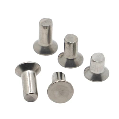 5–50 Stück M2 M2.5 M3 M4 M5 M6 GB869 304 Edelstahl Flacher Senkkopf Vollniet Selbstverstopfend(M6 5pcs,10mm) von FRAOMHFW