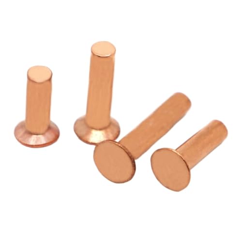 DIN661 GB869 Senkkopfnieten M2 M2.5 M3 M4 M5 M6 M8 Kupfer-Vollniet(M2 50pcs,5mm) von FRAOMHFW
