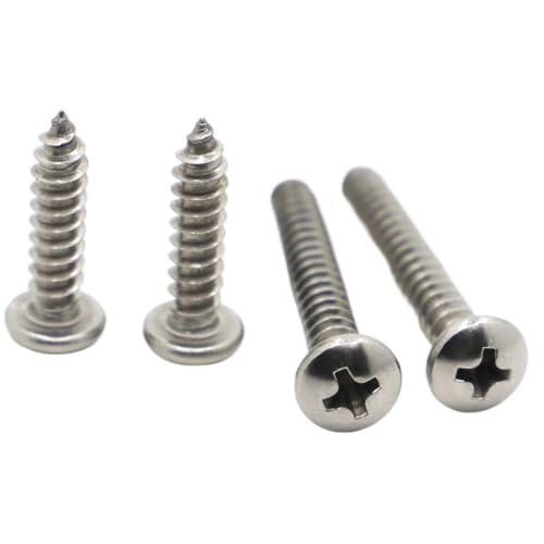 M1 M1.2 M1.4 M1.7 M2 M2.3 M2.6 M3 M4 M5 M6 304 Edelstahl Kreuzschlitzschrauben mit versenktem, rundem Flachkopf, Blechschrauben, Holzschrauben(10mm,M3 20pcs) von FRAOMHFW