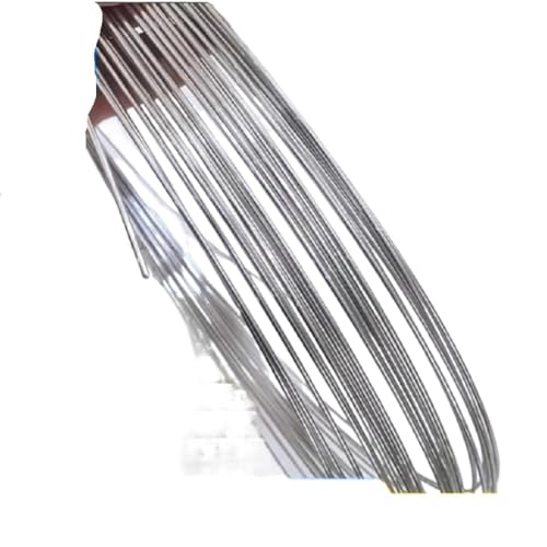 Weicher/harter 304 Edelstahldraht, Durchmesser 0,05–6 mm, Einzelstrang, Zurrdraht, Weicheisendraht, rostfrei(Soft,2mm x 1m) von FRAOMHFW