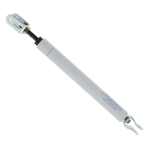 FRCOLOR Friseurstuhl Hydraulikpumpe Verstellbare Gasdruckfeder für Friseurstühle Robuste Eisenkonstruktion Einsetzbar Ergonomisches Design Ersatzteil für Salons von FRCOLOR