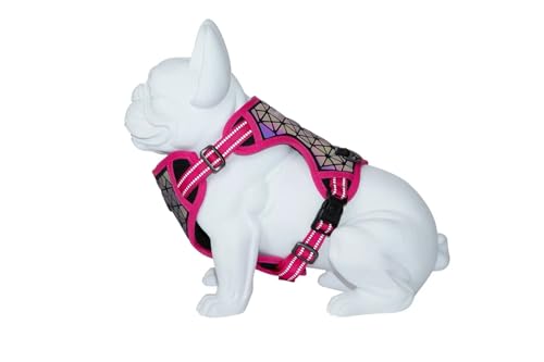 FREEDOG Geschirr Boreal Fuchsia 15 mm C 32/48 cm P 34/63 cm von FREEDOG