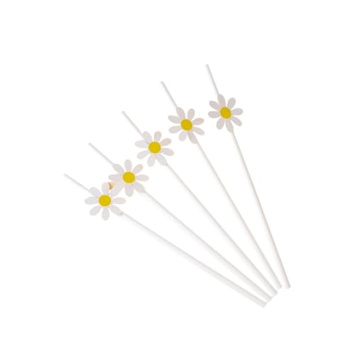 Geburtstag Accessoires 10/20/30 stücke Daisy Blume Papier Strohhalme Trinkhalme Themed Geburtstag Party Dekorationen Hochzeit Partei Liefert(Color 2,10pcs) von FREOJGU