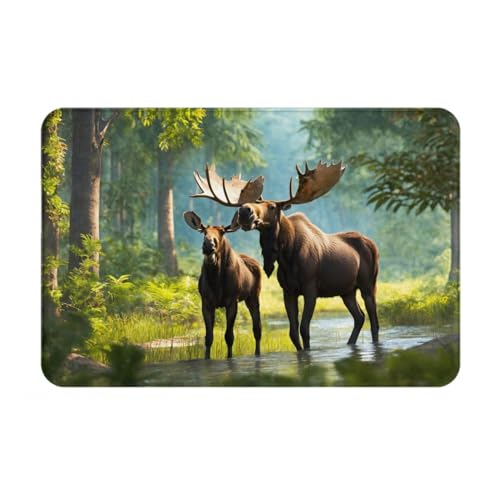 FRESQA Fußmatte mit Hirschbär-Elch-Aufdruck, für den Außenbereich, leicht zu reinigen, für Heimdekoration von FRESQA