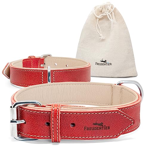 FREUDENTIER® Hundehalsband Leder, gefüttert & komfortabel, hochwertiges breites Lederhalsband aus Vollnarbenleder, Amstelpark Kollektion in Spicy Red (27.5-38cm Halsumfang, Rot) von FREUDENTIER