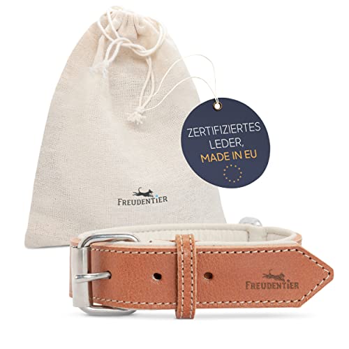 FREUDENTIER® Hundehalsband aus Leder, Made in Holland, gefüttert & super komfortabel, hochwertiges breites Lederhalsband aus Vollnarbenleder, Model “Amstelpark” (47-57cm Halsumfang, Cognac) von FREUDENTIER