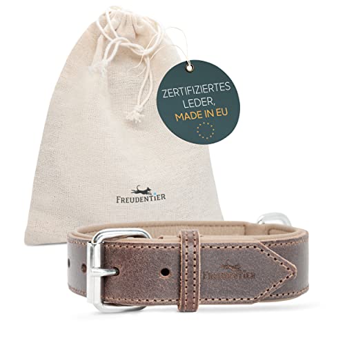 FREUDENTIER® Hundehalsband aus Leder, Made in Holland, gefüttert & super komfortabel, hochwertiges breites Lederhalsband aus Vollnarbenleder, Model “Amstelpark” (21-29cm Halsumfang, Dark Chocolate) von FREUDENTIER