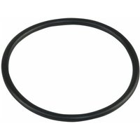 Dichtung Inspektionsklappe HC von FRISQUET