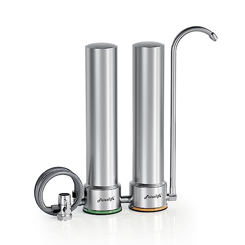 Frizzlife DS99 Countertop Water Filter System, Stainless Steel von FRIZZLIFE