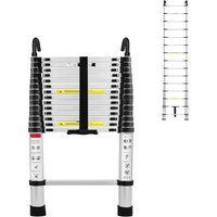 Froadp - 4.4m Teleskopleiter Leiter Ausziehbar Aluminium Mehrzweckleiter Ausziehleiter mit 2 Abnehmbarem Haken Klappleiter Stehleiter Rutschfester von FROADP