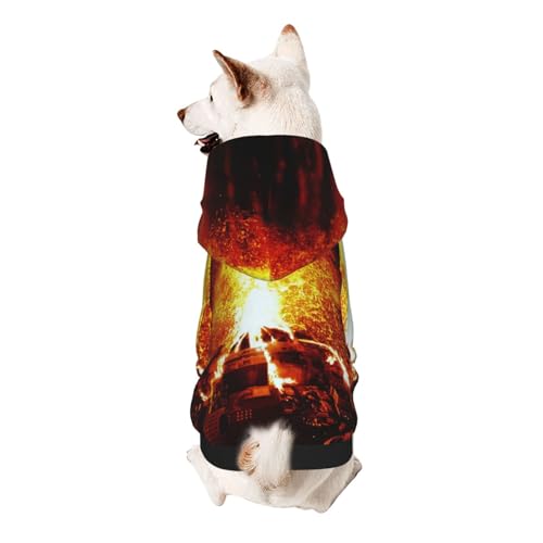 Froon Volcano Haustierbekleidung – Kapuzen-Sweatshirt für kleine Haustiere, bezaubernde und warme Haustierkleidung, für Ihr Haustier von FROON