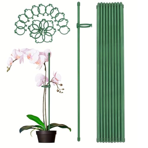 FRYSKYO 20 Stück Pflanzenstäbe, Pflanzenhalter, Kletterhilfe for Zimmerpflanzen, Kunststoff, Pflanzenstabilisierungsstange, Pflanzenstab, Blumenhalter FRYSKYO 20 Stück Pflanzenstäbe, Pflanzenhalter, Kletterhilfe for Zimmerpflanzen, Kunststoff, Pflanzenstabilisierungsstange, Pflanzenstab, Blumenhalter von FRYSKYO