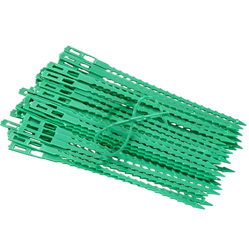 FRYSKYO 50 Stück Verstellbare Pflanzenbinder (4 Größen), Kunststoff-Gartenbinder for Pflanzen Im Innen- Und Außenbereich, Sträucher – Pflanzenstützklammern – Wiederverwendbar, Verstellbar(13cm) von FRYSKYO