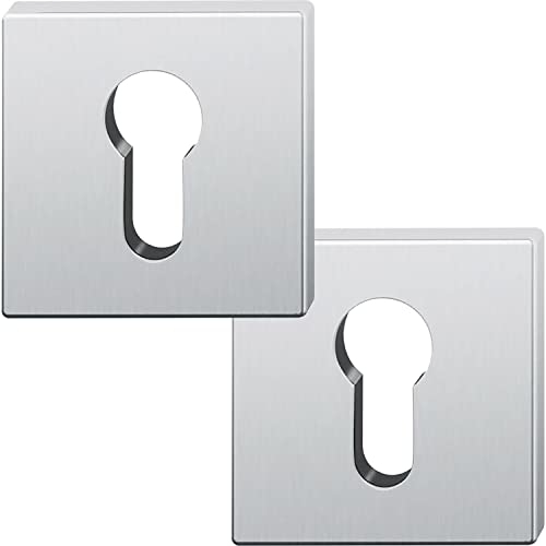 FSB 0 12 1704 00010 6204 ASL Profilzylinder Rosette PZ quadratisch, Zylinderrosette 55x55x7mm nach ÖNORM Edelstahl matt, Silber von FSB