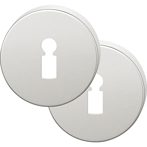 FSB 0 12 1735 00002 0105 Silber Buntbartrosette BB, runde Deckrosette ASL Rosette aus Aluminium eloxiert 12173500002 von FSB