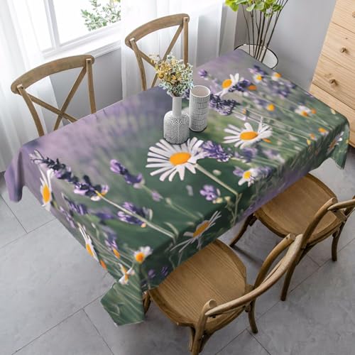 FSCEV Tischdecke mit Lavendel und Gänseblümchen, rechteckig, für Küche, Esszimmer, Innen- und Außenbereich FSCEV Tischdecke mit Lavendel und Gänseblümchen, rechteckig, für Küche, Esszimmer, Innen- und Außenbereich von FSCEV