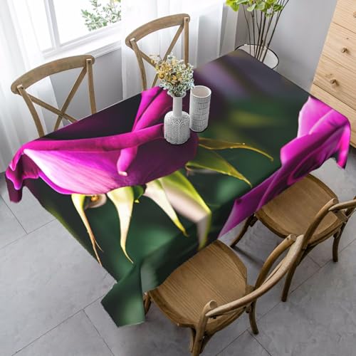 FSCEV Tischdecke mit violetten Rosen, rechteckig, für Küche, Esszimmer, Innen- und Außenbereich FSCEV Tischdecke mit violetten Rosen, rechteckig, für Küche, Esszimmer, Innen- und Außenbereich von FSCEV