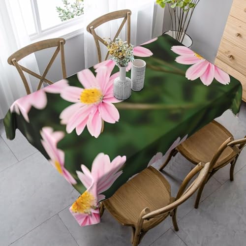 Tischdecke, rechteckig, für Küche, Esszimmer, Innen- und Außenbereich, Rot / Weiß / Gold Tischdecke, rechteckig, für Küche, Esszimmer, Innen- und Außenbereich, Rot / Weiß / Gold von FSCEV