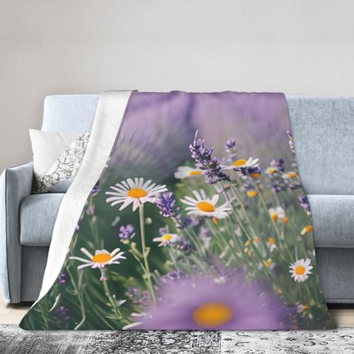 Ultraweiche Micro-Fleece-Decke, Klimaanlage und Gänseblümchen, Lavendel und Gänseblümchen, warme Decke Ultraweiche Micro-Fleece-Decke, Klimaanlage und Gänseblümchen, Lavendel und Gänseblümchen, warme Decke von FSCEV