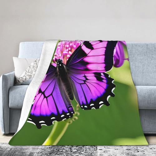 Ultraweiche Micro-Fleece-Decke, Klimaanlagendecke, warme Decke, Schmetterlings-Motiv, Violett von FSCEV