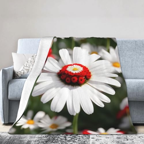 Ultraweiche Micro-Fleece-Decke mit Blumen und weißen Gänseblümchen, Klimaanlage, Decke, warme Decke Ultraweiche Micro-Fleece-Decke mit Blumen und weißen Gänseblümchen, Klimaanlage, Decke, warme Decke von FSCEV