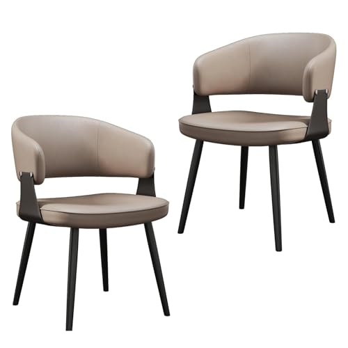 FSDFKPOP Moderne Küchen- und Esszimmerstühle, 2er-Set, modernes gepolstertes Esszimmerstuhl-Set mit offener Rückenlehne for Lounge, Wohnzimmer, Empfangsraum von FSDFKPOP