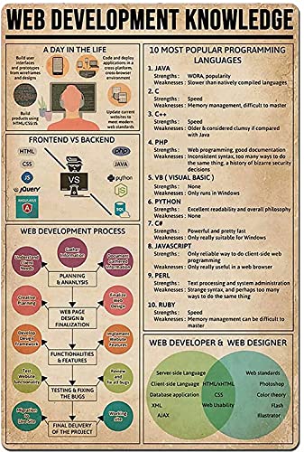 Web Development Knowledge Metall-Blechschild, 10 beliebteste Programmierung, Retro-Druck, Poster, Schule, Café, Bar, Schlafzimmer, Badezimmer, Küche, Zuhause, Kunst, Wanddekoration von FSDFS