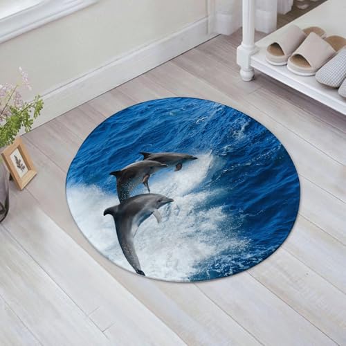 FSDGY Badvorleger Fußmatte Flauschig Teppich Badezimmerteppich Duschmatte für Bade & Wohnzimmer Schlafzimmer,Baby-Meerestier Delphin springt aus dem Meer,60x60 cm FSDGY Badvorleger Fußmatte Flauschig Teppich Badezimmerteppich Duschmatte für Bade & Wohnzimmer Schlafzimmer,Baby-Meerestier Delphin springt aus dem Meer,60x60 cm von FSDGY
