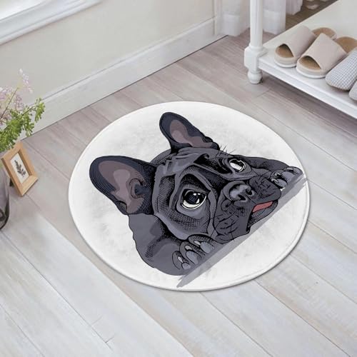 FSDGY Badvorleger Fußmatte Flauschig Teppich Badezimmerteppich Duschmatte für Bade & Wohnzimmer Schlafzimmer,Gesicht Hund Französisch Bulldog Natur Hand liegend bezaubernd schwarz gelangwei,60x60 cm von FSDGY