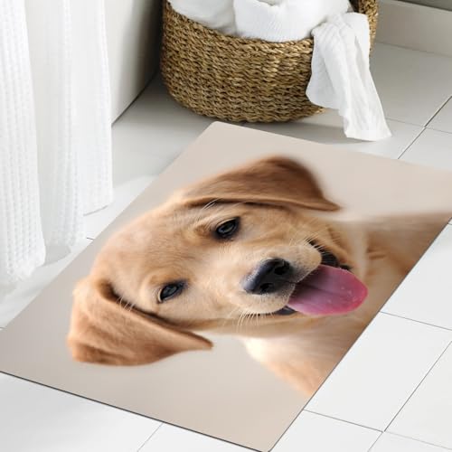 FSDGY Badvorleger Fußmatte Flauschig Teppich Badezimmerteppich Duschmatte für Bade & Wohnzimmer Schlafzimmer,Porträt eines gelben Labrador-Welpen,60x90 cm von FSDGY
