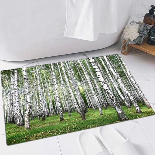 FSDGY Badvorleger Fußmatte Flauschig Teppich Badezimmerteppich Duschmatte für Bade & Wohnzimmer Schlafzimmer,Sofa, Landschaft, Herbstbäume im September-Birkenwald,40x60 cm FSDGY Badvorleger Fußmatte Flauschig Teppich Badezimmerteppich Duschmatte für Bade & Wohnzimmer Schlafzimmer,Sofa, Landschaft, Herbstbäume im September-Birkenwald,40x60 cm von FSDGY