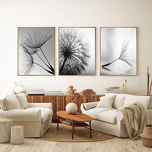 FSLEOVN 3 Teilig Premium Poster Set Löwenzahn Blume Leinwand Schwarz Weiß Bild Druck auf Leinwand Pusteblume Bild Modern Home Decor Kein Rahmen (40x60cm) von FSLEOVN