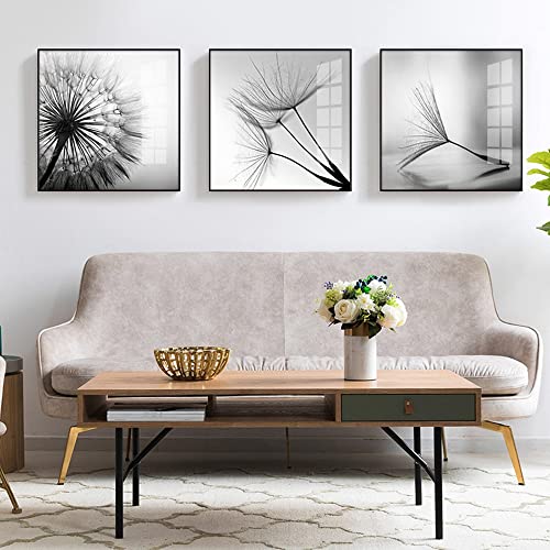 FSLEOVN Poster 3er Set Leinwand Schwarz Weiß Pusteblume Bilder Abstrakte Wandbild Print Bilder Schwarz und Weiß Pusteblume Kunstposter Innendekoration Rahmenlos (Schwarz und Weiß,50x50cm x3) von FSLEOVN