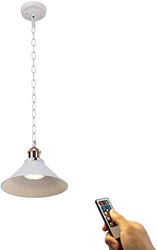 FSLIVING Tragbare One-Light-Pendelleuchte mit Fernbedienung ＆ Batteriebetriebenes Schuppenlicht, Wandercamping-Hängelampen (dimmbar) von FSLIVING