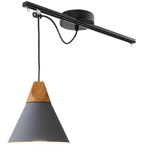 FSLiving Modernes Hängelampe - Bewegliche Pendelleuchte links/rechts 25cm -Grau Hängelampe Esstisch Einstellbare Höhe - Einfache Installation Deckenlampe Küche für Wohnzimmer Esszimmer TB0107 von FSLiving