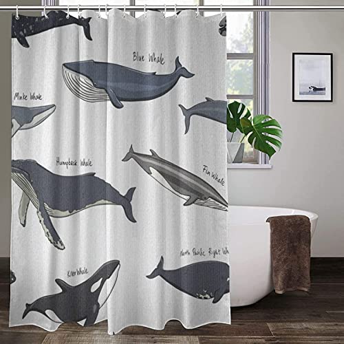 Duschvorhang 120x200 Wal, Wasserdicht Anti Schimmel Duschvorhänge 3D Meereslebewesen, Shower Curtains Waschbar mit 8 Ringe, Duschrollo für Badewanne, Dusche Badezimmer von FSZXC