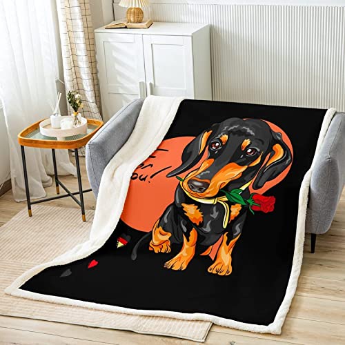 Kuscheldecke 130x150 Dackel, 3D Dackel Wolldecke Warme Fleecedecke Flauschige Decke, für Tagesdecke Blanket Sofadecke, für Bett Sofa von FSZXC