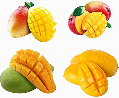 FStening 5 Stück Verschiedene Sorten Gemischt Wunderschöne Mango Samen Geeignete Bepflanzung In Gewächshausform Standard Pastorale Landschaft Machen Die Menschen Wohlfühlen von FStening