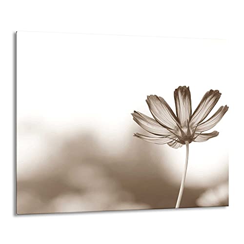 FTB Gsmarkt | Herdabdeckplatte Schneidebrett Spritzschutz 60x52 | Bild auf Glas | Sicherheitsglas Gehärtetes Glas Bild | Motiv Blume FTB Gsmarkt | Herdabdeckplatte Schneidebrett Spritzschutz 60x52 | Bild auf Glas | Sicherheitsglas Gehärtetes Glas Bild | Motiv Blume von FTB