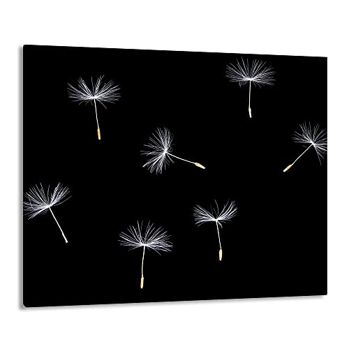 FTB Gsmarkt | Herdabdeckplatte Schneidebrett Spritzschutz 60x52 | Bild auf Glas | Sicherheitsglas Gehärtetes Glas Bild | Motiv Pusteblume FTB Gsmarkt | Herdabdeckplatte Schneidebrett Spritzschutz 60x52 | Bild auf Glas | Sicherheitsglas Gehärtetes Glas Bild | Motiv Pusteblume von FTB
