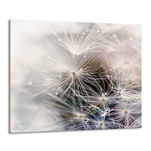 Gsmarkt | Herdabdeckplatte Schneidebrett Spritzschutz 60x52 | Bild auf Glas | Sicherheitsglas Gehärtetes Glas Bild | Motiv Pusteblume Gsmarkt | Herdabdeckplatte Schneidebrett Spritzschutz 60x52 | Bild auf Glas | Sicherheitsglas Gehärtetes Glas Bild | Motiv Pusteblume von FTB