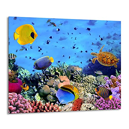 Gsmarkt | Herdabdeckplatte Schneidebrett Spritzschutz 60x52 | Bild auf Glas | Sicherheitsglas Gehärtetes Glas Bild | Motiv Unterwasser Gsmarkt | Herdabdeckplatte Schneidebrett Spritzschutz 60x52 | Bild auf Glas | Sicherheitsglas Gehärtetes Glas Bild | Motiv Unterwasser von FTB