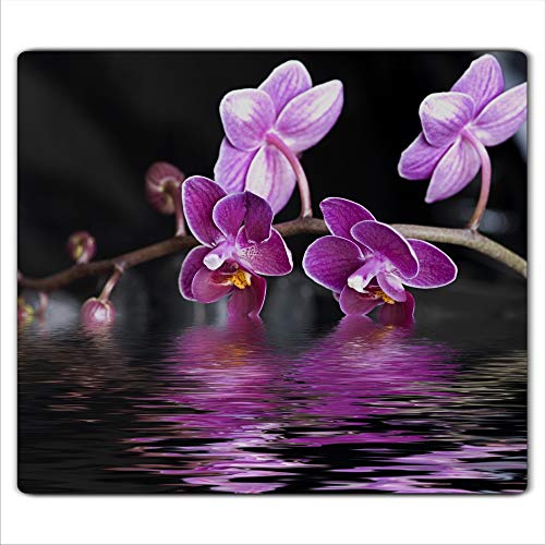 Gsmarkt | Herdabdeckplatte Schneidebrett Spritzschutz 60x52 | Bild auf Glas | Sicherheitsglas Gehärtetes Glas Bild | Motiv Orchidee Gsmarkt | Herdabdeckplatte Schneidebrett Spritzschutz 60x52 | Bild auf Glas | Sicherheitsglas Gehärtetes Glas Bild | Motiv Orchidee von FTB